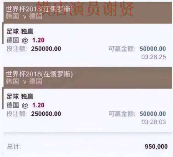 世界杯投注平台推荐精选报告：玩法指南与实际体验总结 - 世界杯数据